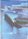 ScanImage54
