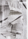 ScanImage62